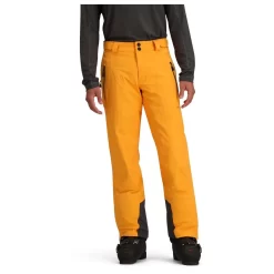 Obermeyer Process Pant - Men's